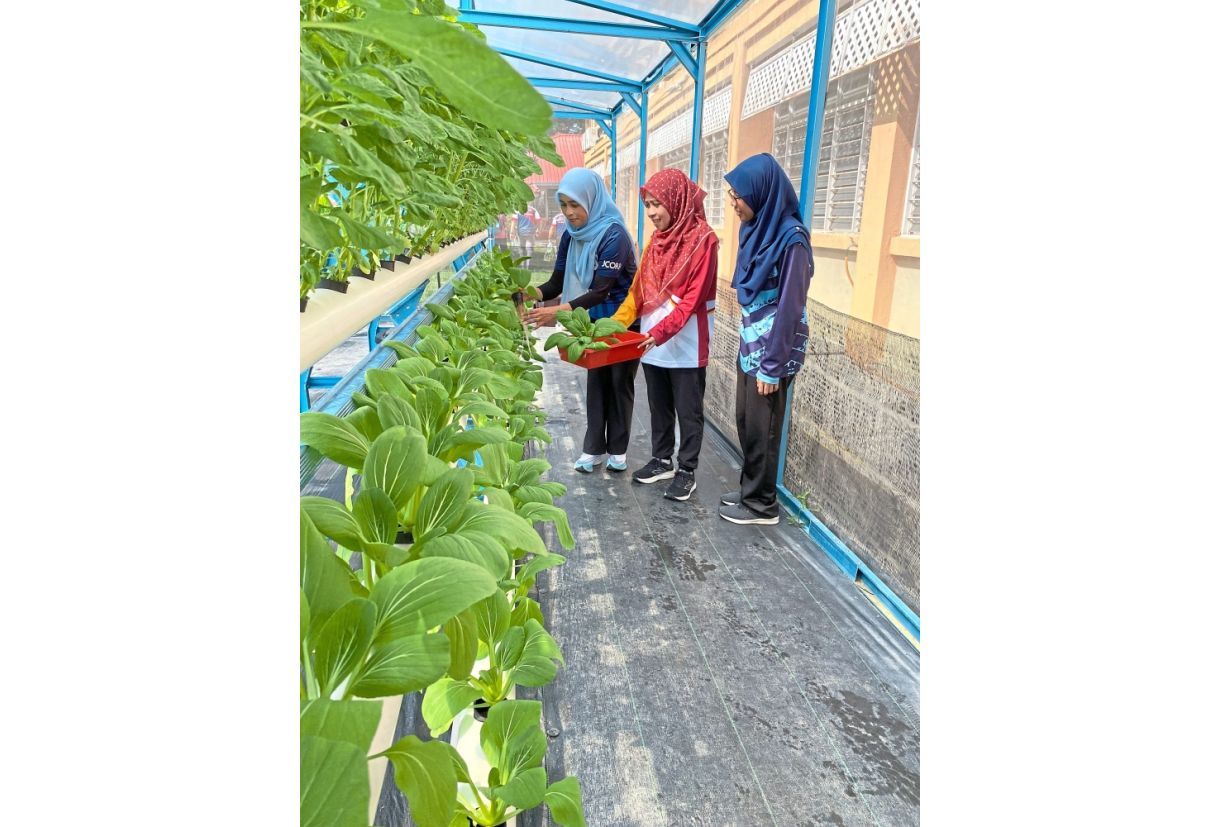 Smart hydroponic farming to expand