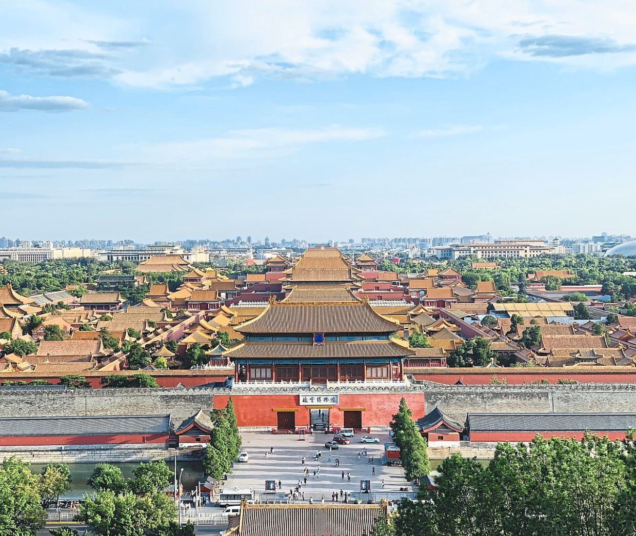 Tracing the origins of timbers in Beijing's Forbidden City