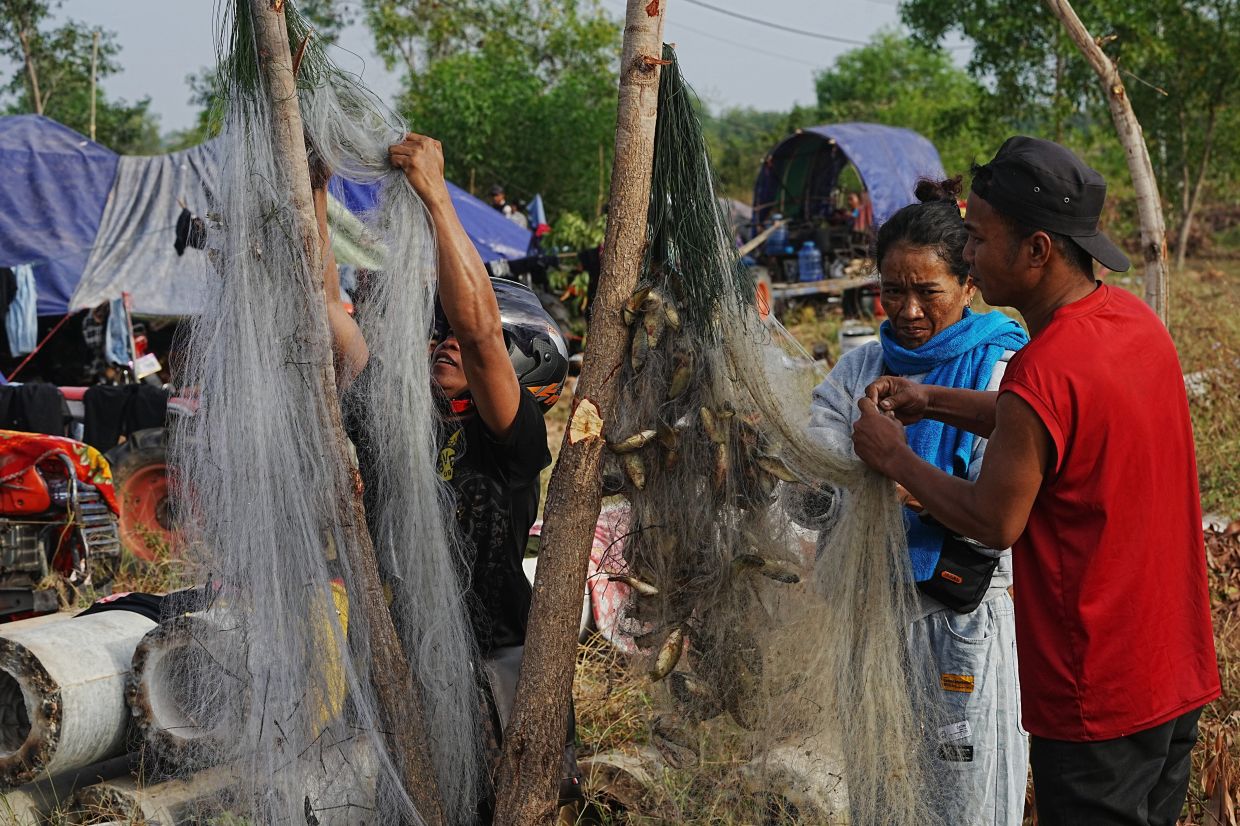 People takIng off fish from nets for their meal as they take refuge in Srey Snam, Siem Reap province, Cambodia on Dec. 10, 2025.-AP