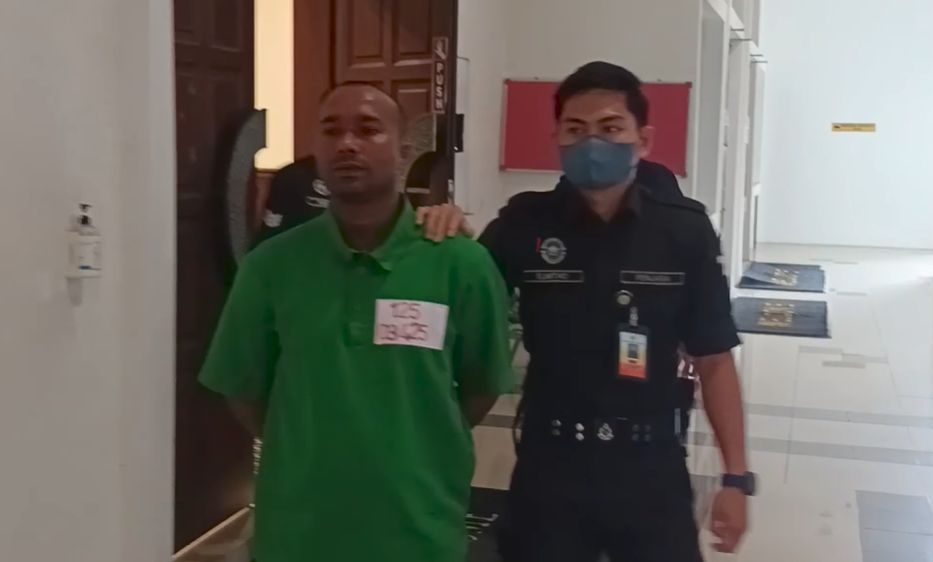 Nepalese security guard pleads guilty to sodomising cat