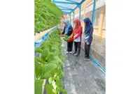 Smart hydroponic farming to expand