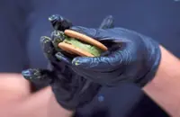 Nuts over pistachios: Boosted by the 'Dubai chocolate' craze, Argentina bets on this nut