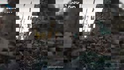 Thailand's Ta Kwai Temple suffers heavy damage in Thai–Cambodian border fighting