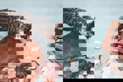 Here's how to keep your pets safe when decorating for Christmas