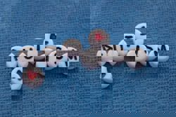 Why Nasom is going the extra mile to help families of kids with autism