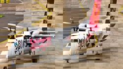 Spicejet set to add 100 flights to winter schedule after Indian govt cuts 10 per cent of IndiGo slots