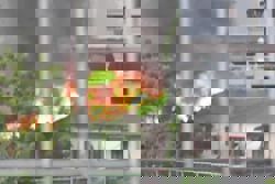 Fire breaks out Sg Kayu Ara, Bomba on the scene