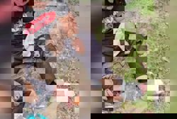 'I'm sorry, I can't go any further': Chegubard quits 300km protest walk