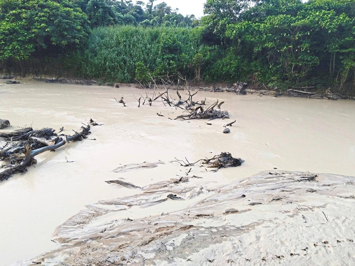 Sungai Johor became choked with mud during the Oct 31 pollution incident in Kota Tinggi.