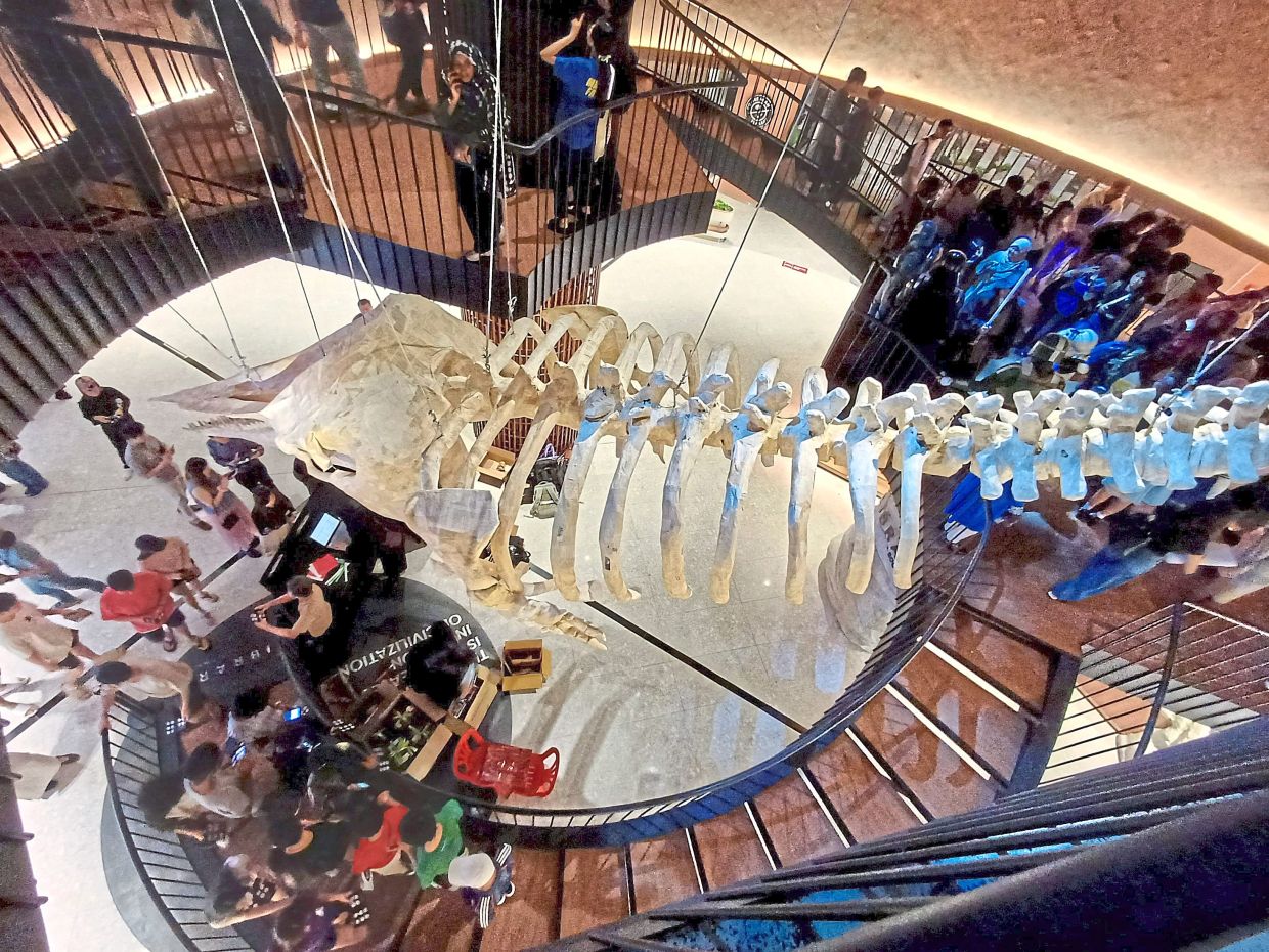 'Whale Fall', a ceiling installation by Malaysian artist CO2, gives new life to damaged books rescued from the BookXcess warehouse. Photo: The Star/Art Chen
