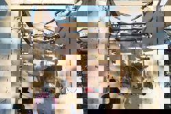 Myanmar junta air strike on hospital kills 31: on-site aid worker