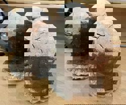 Philippine ‘dinosaur egg’ salt gets Unesco protection