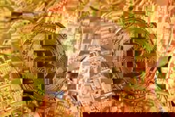 Bitcoin dips below $90,000 as AI worries dent risk appetite