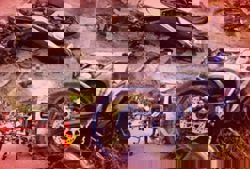 Motorcyclist crashes into elephant in Gerik