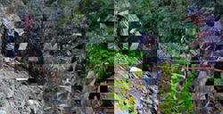 21 Indian workers killed in accident near China border