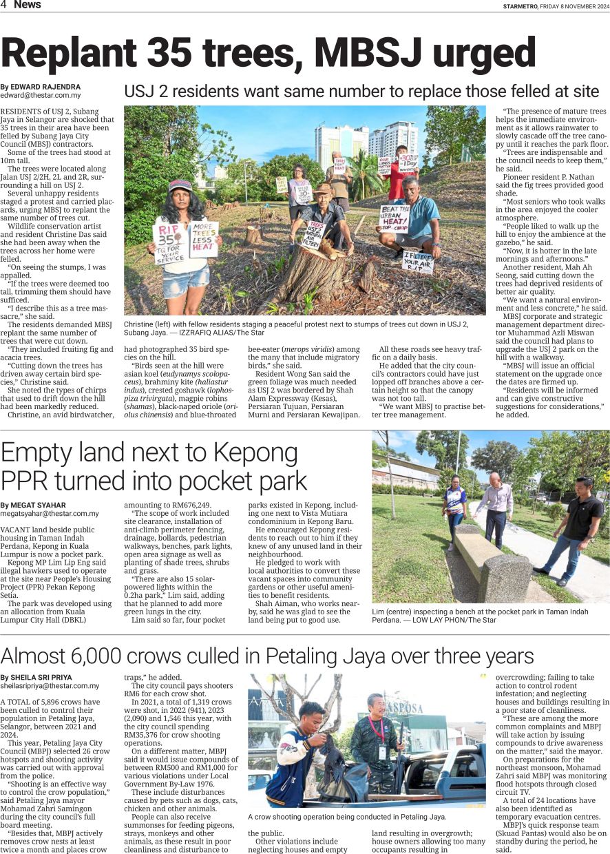 StarMetro report on Nov 11, 2024