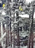 Train derails, falls below tracks in Japan’s Akita Prefecture, driver Injured