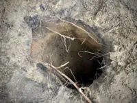 Scores of migrants cross into Poland through hidden Belarus border tunnel