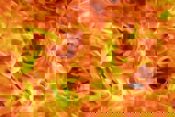 Three killed in North China building fire