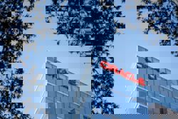 Analysis-Oracle's stumble hits AI trade, but many remain bullish