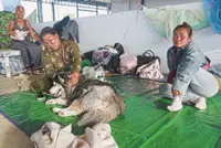 PM sets way for early election amid unrest