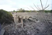 Cambodia says Thailand still bombing hours after Trump truce call