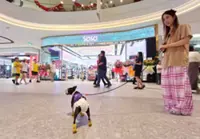 Pet friendly mall opens in Subang Jaya township