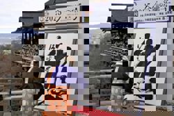 Japan picks ‘bear’ as kanji of 2025 amid surge in bear sightings, attacks