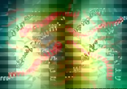 Philippines reports over 700 leptospirosis cases in Central Visayas since Nov 1