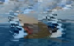 Before megalodon, researchers say a monstrous shark ruled ancient Australian seas