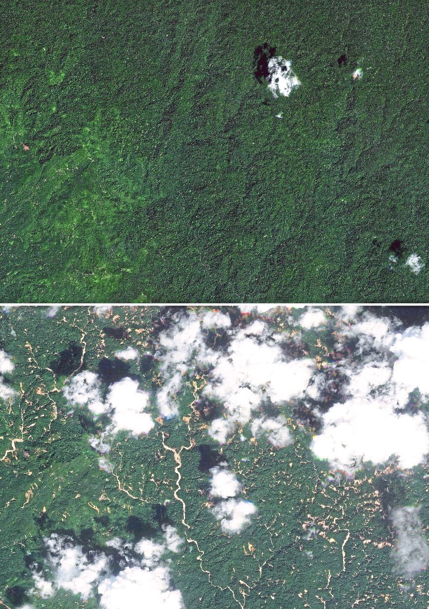 Ravaged land: A view of the Batang Toru area of South Tapanuli in Sumatra, where a population of the critically-endangered Tapanuli orang utan are known to live, on Oct 28 (top) and on Dec 3 in the aftermath of massive flooding and landslides.— Planet Labs PBC/AFP