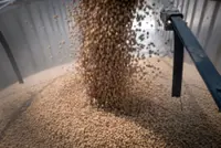 China’s food-security push to slash soy imports by two-thirds in a decade: Goldman Sachs