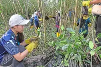 Muddy boots, mangroves and keeping nature alive