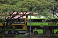 Multiple people injured in Singapore accident involving two buses in Jurong West