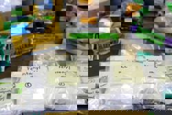 US senators warn of China-cartel links forming a global ‘Silk Road of crime’