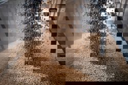 China’s food-security push to slash soy imports by two-thirds in a decade: Goldman Sachs