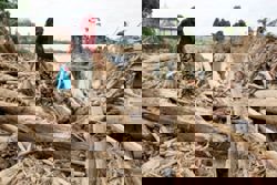 Human Writes: Heed the lessons disasters are teaching the world