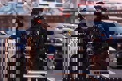 Ten killed in Sydney's Bondi Beach shooting, two suspects in custody