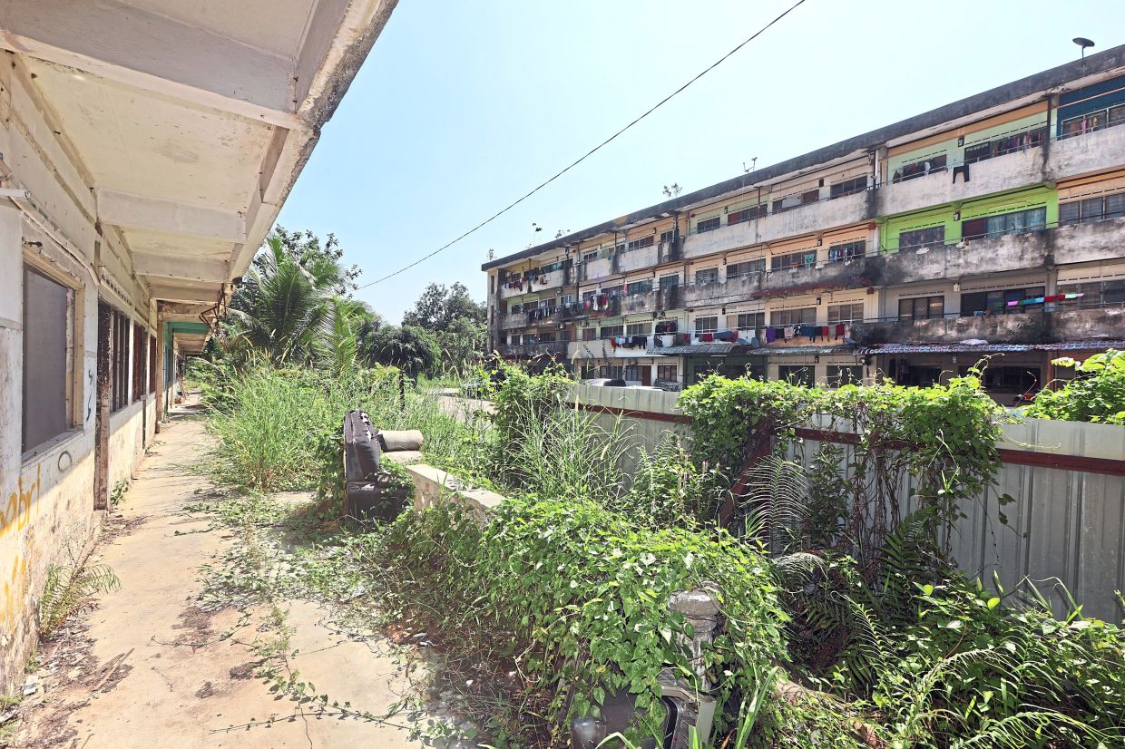 Overgrown bushes at Block Four after it was abandoned by residents.