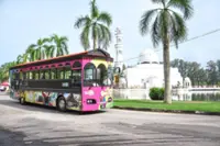 Places to visit and activities to do this year-end school holidays