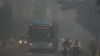 Hundreds of flights cancelled amid thick smog in India