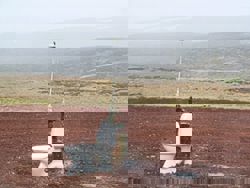 7 toilets around the world that will surprise you