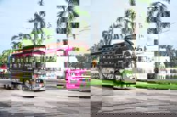 Places to visit and activities to do this year-end school holidays