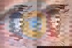 How much does an army of bots cost? How likes and clout are bought