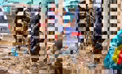 An end-to-end early warning system is crucial in reducing disaster losses in South-East Asia