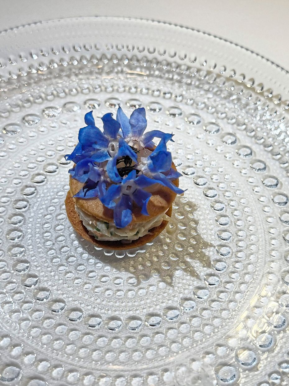 Delicate starflowers crowning the amuse-bouche of snow crab with pickled carrot and cumin.