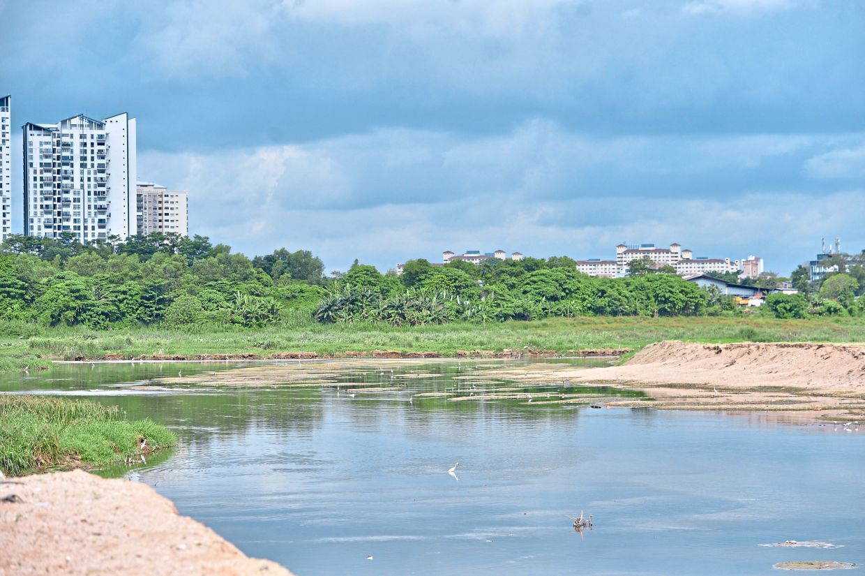 Kampung Bohol flood retention pond looking much healthier in May 2024. — Filepic
