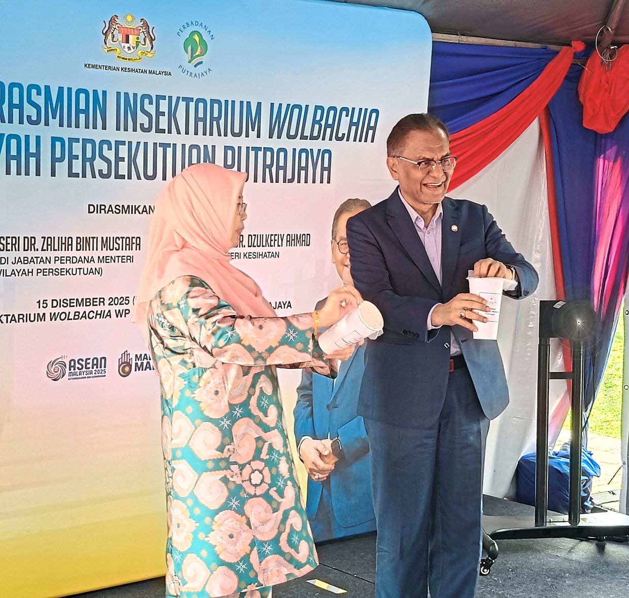 Fighting dengue with mosquitoes