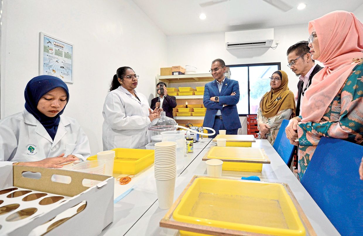 Significant decline in dengue deaths