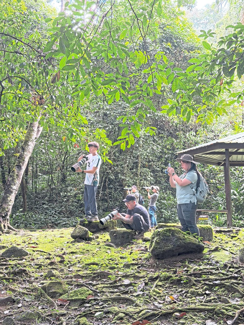 A group of photographers wait quietly after spotting movement in the trees. 